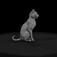 a-collection-of-housecats-siamese-a4268fe7-meshref — thumbnail 2
