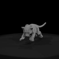 ant-153-jaguar-adolescent — thumbnail 2