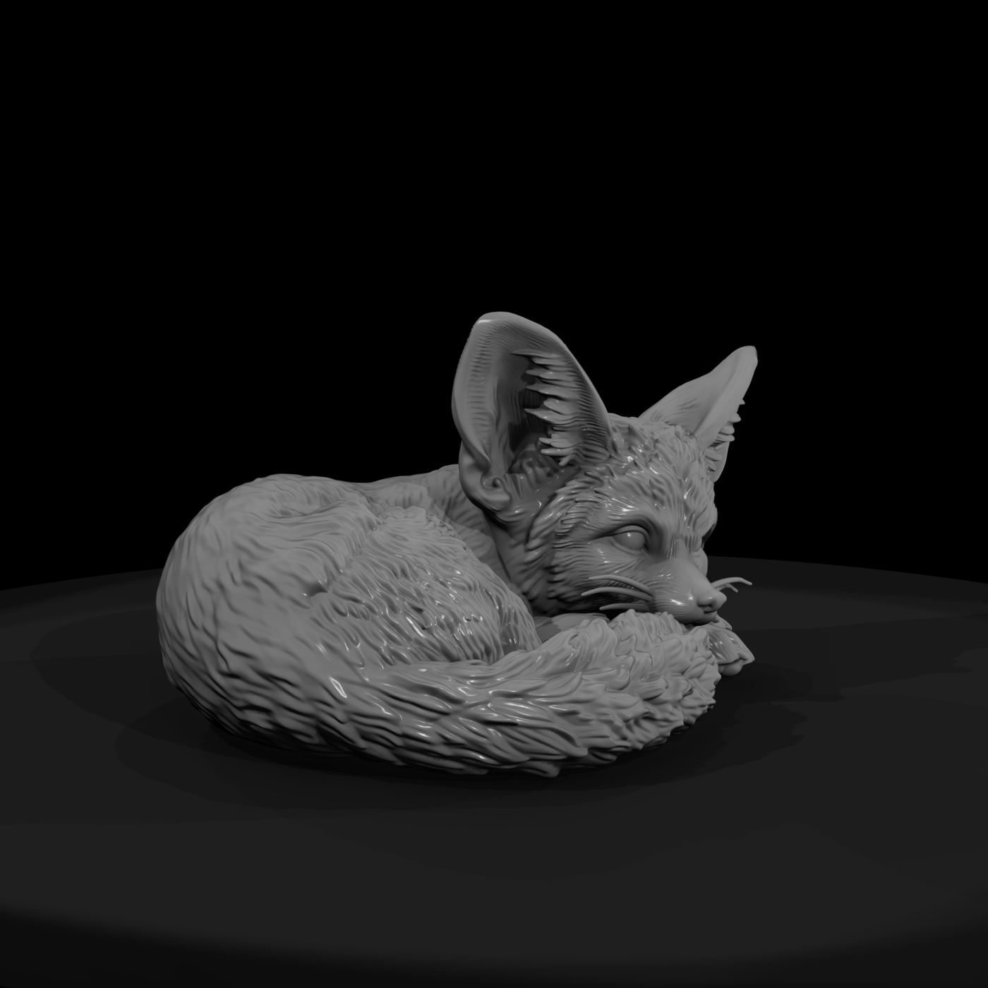 Curled-Up Fennec Fox