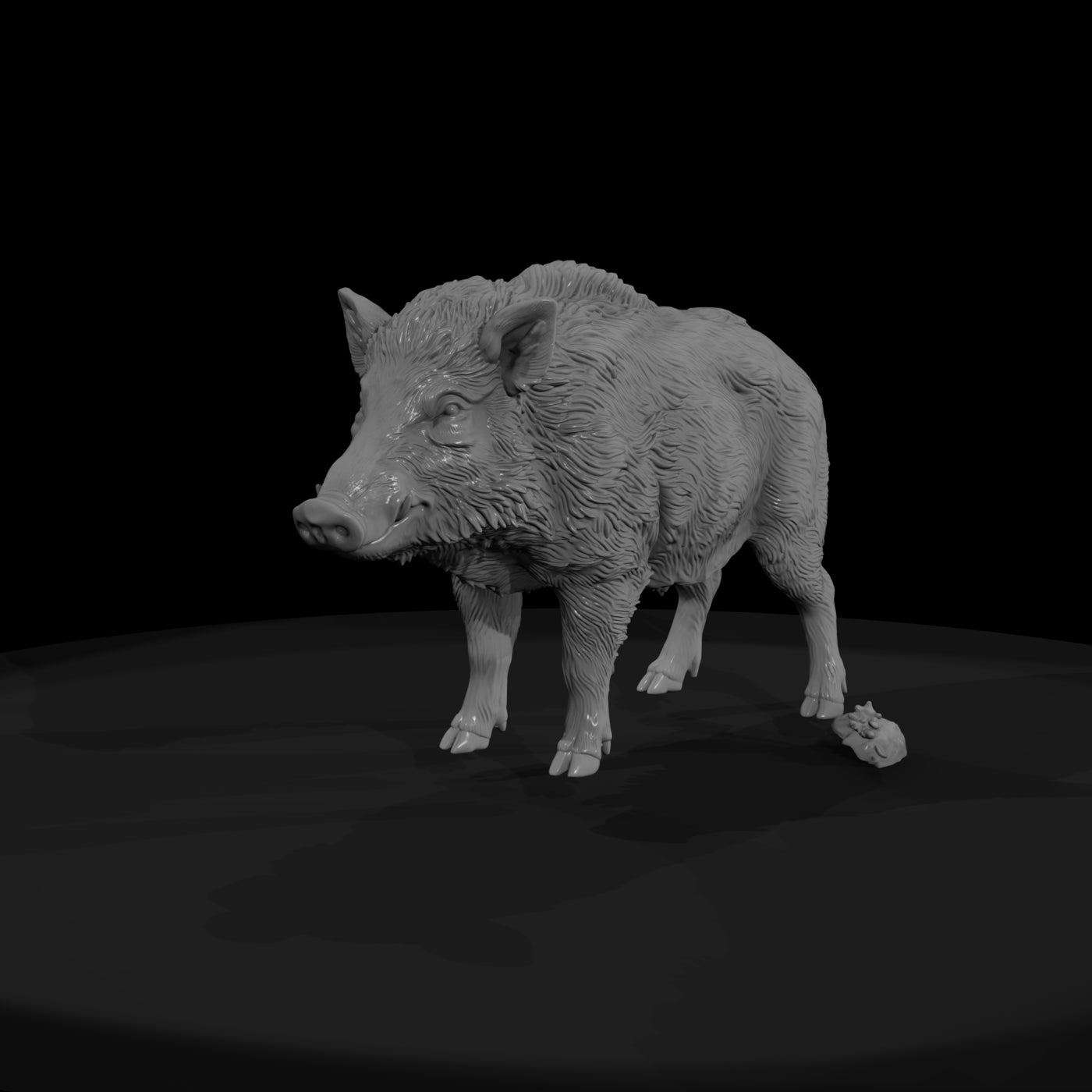 ant-074-wild-boar-female