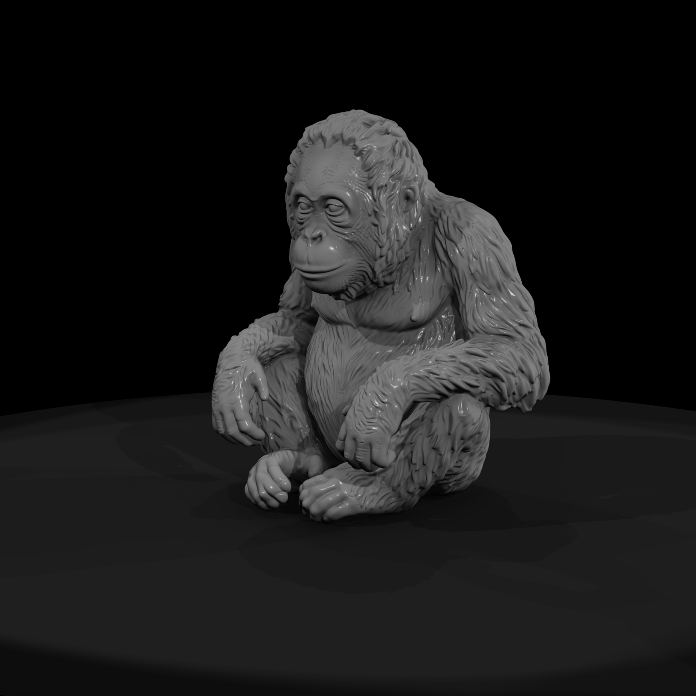 Young Orangutan Sitting