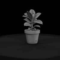stylized-potted-rubber-plant-miniature-910726 — thumbnail 3