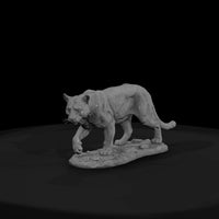 ant-145-cougar-male — thumbnail 2