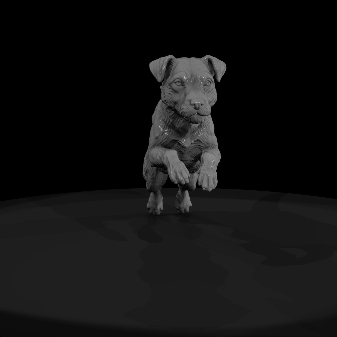 cir-125-animal-jumping-terrier