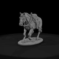 ww-0288-animal-cow-pony — thumbnail 2