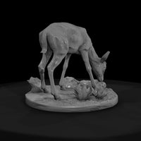 ant-236-thomson-s-gazelle-female — thumbnail 2