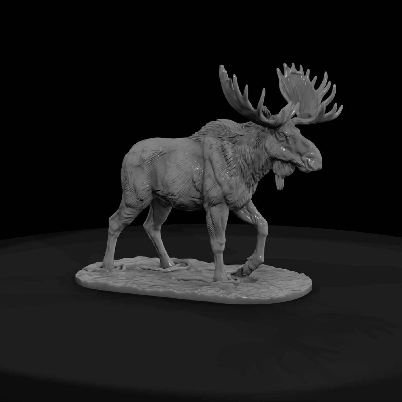 Ant 046 Moose Male