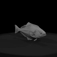halibut-fish-model-for-dioramas-458759 — thumbnail 3