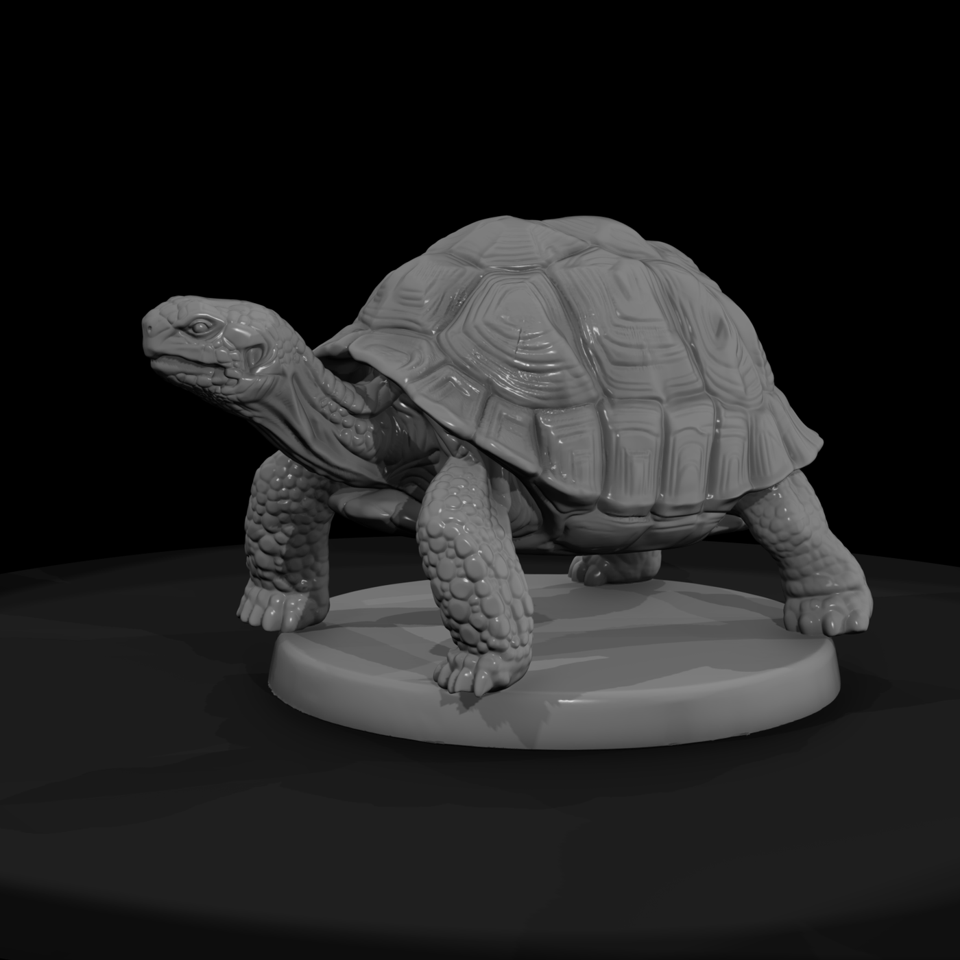 Giant Land Tortoise