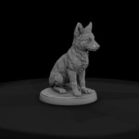 ant-015-gray-wolf-adolescent — thumbnail 2
