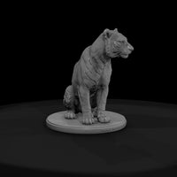 ant-005-bengal-tiger-female — thumbnail 2