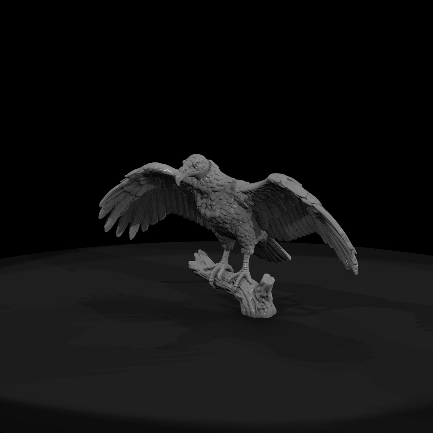 ww-0344-animal-turkey-vulture