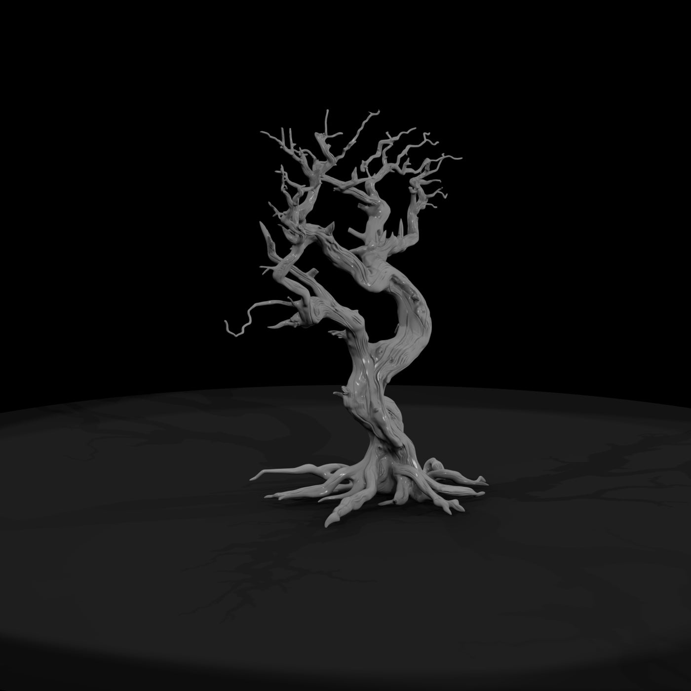 20260612-ancient-twisted-dead-tree-cfc565e291
