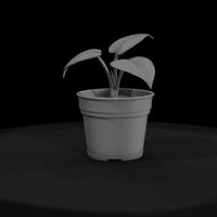 stylized-monochrome-potted-houseplant-3d-model-ak7 — thumbnail 2