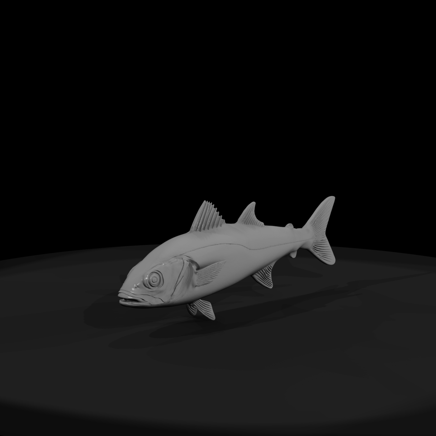 Realistic Saltwater Fish