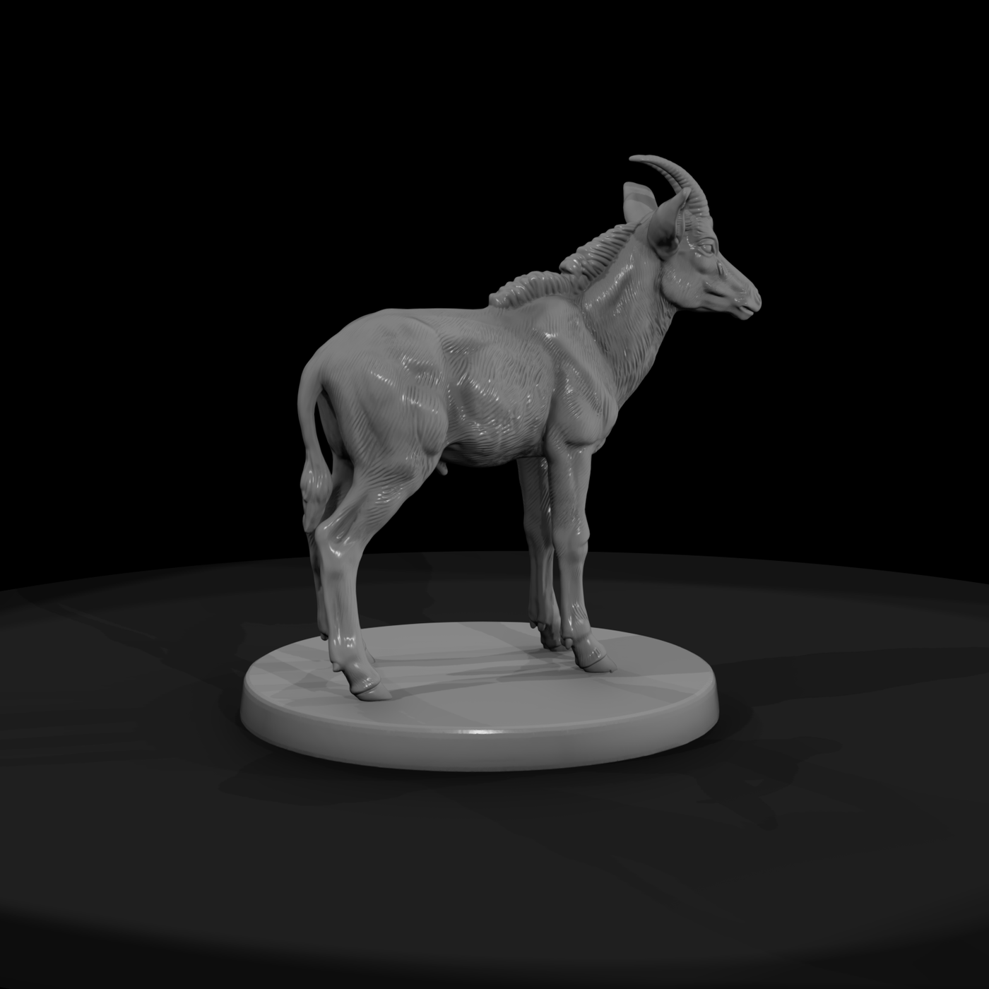 Young Sable Antelope
