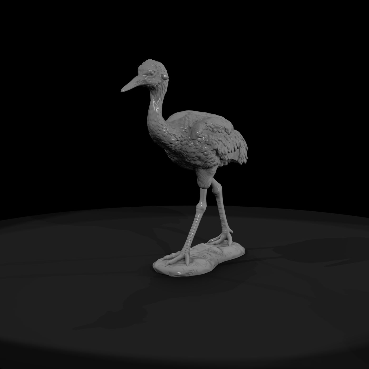 ant-132-sandhill-crane-adolescent