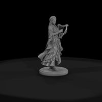 poparc-0167-festival-harpist — thumbnail 2