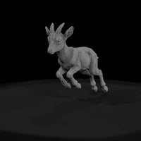 ant-282-markhor-adolescent — thumbnail 2