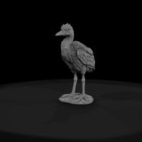 ant-291-great-blue-heron-adolescent — thumbnail 2