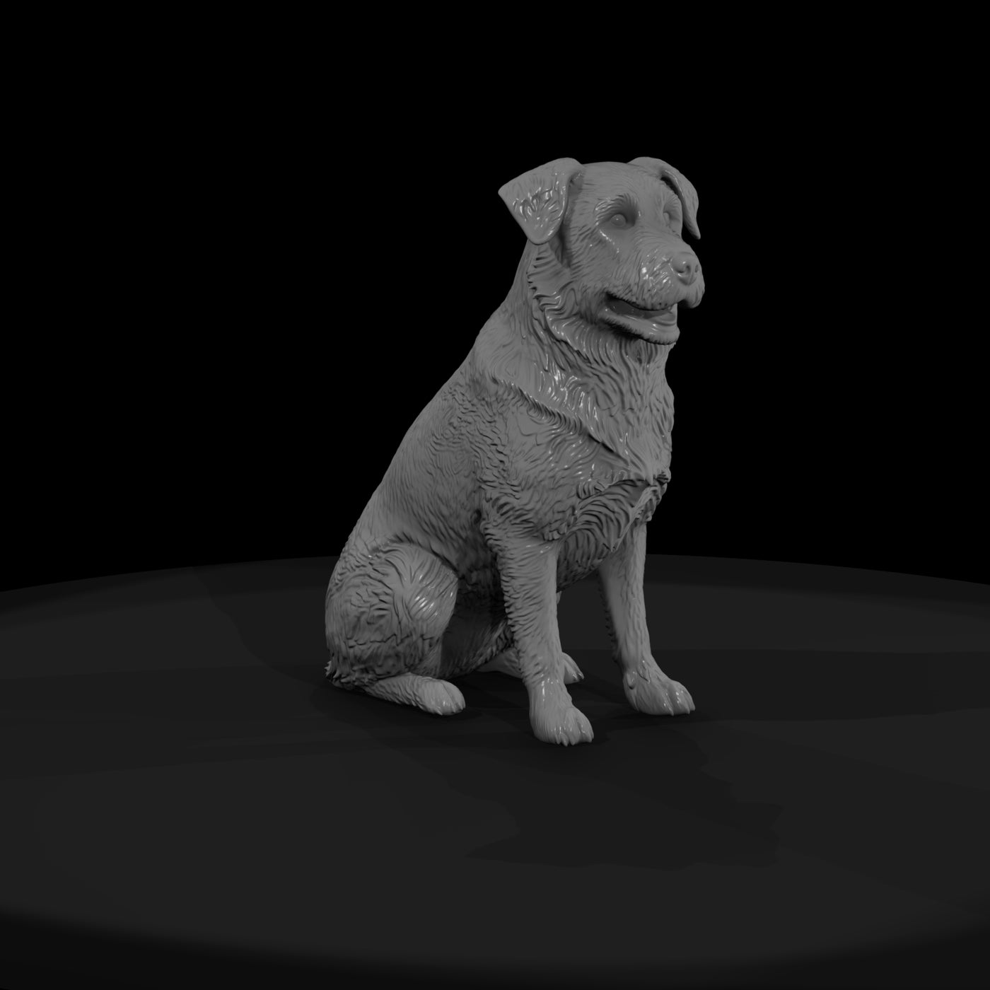 farm-dog