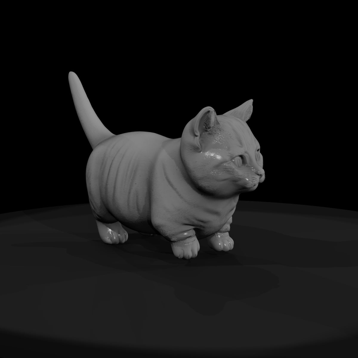 a-collection-of-housecats-munchkin-e876df2e-meshre