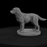 anim-01-labrador-retriever-15c005 — thumbnail 3