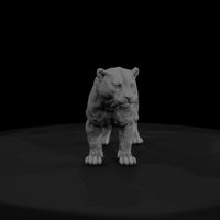 ant-151-jaguar-male — thumbnail 2