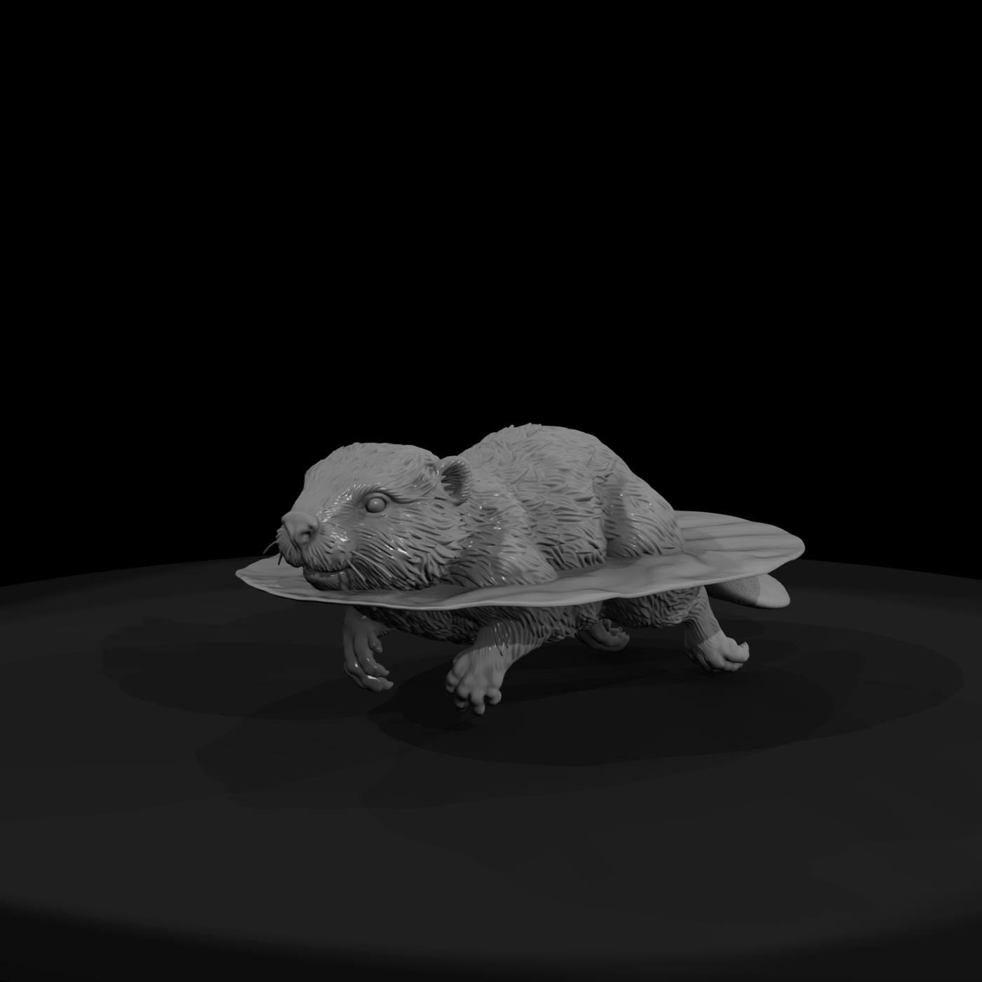 Adolescent Beaver