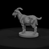 anim-21-goat-4f1e5a — thumbnail 2