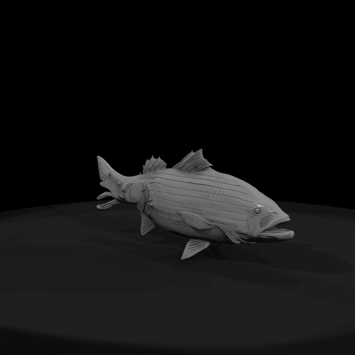 stylized_striped_bass_3d_fish_model_nan68mvk