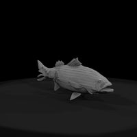 stylized_striped_bass_3d_fish_model_nan68mvk — thumbnail 2