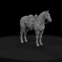 rodeo-horse — thumbnail 4