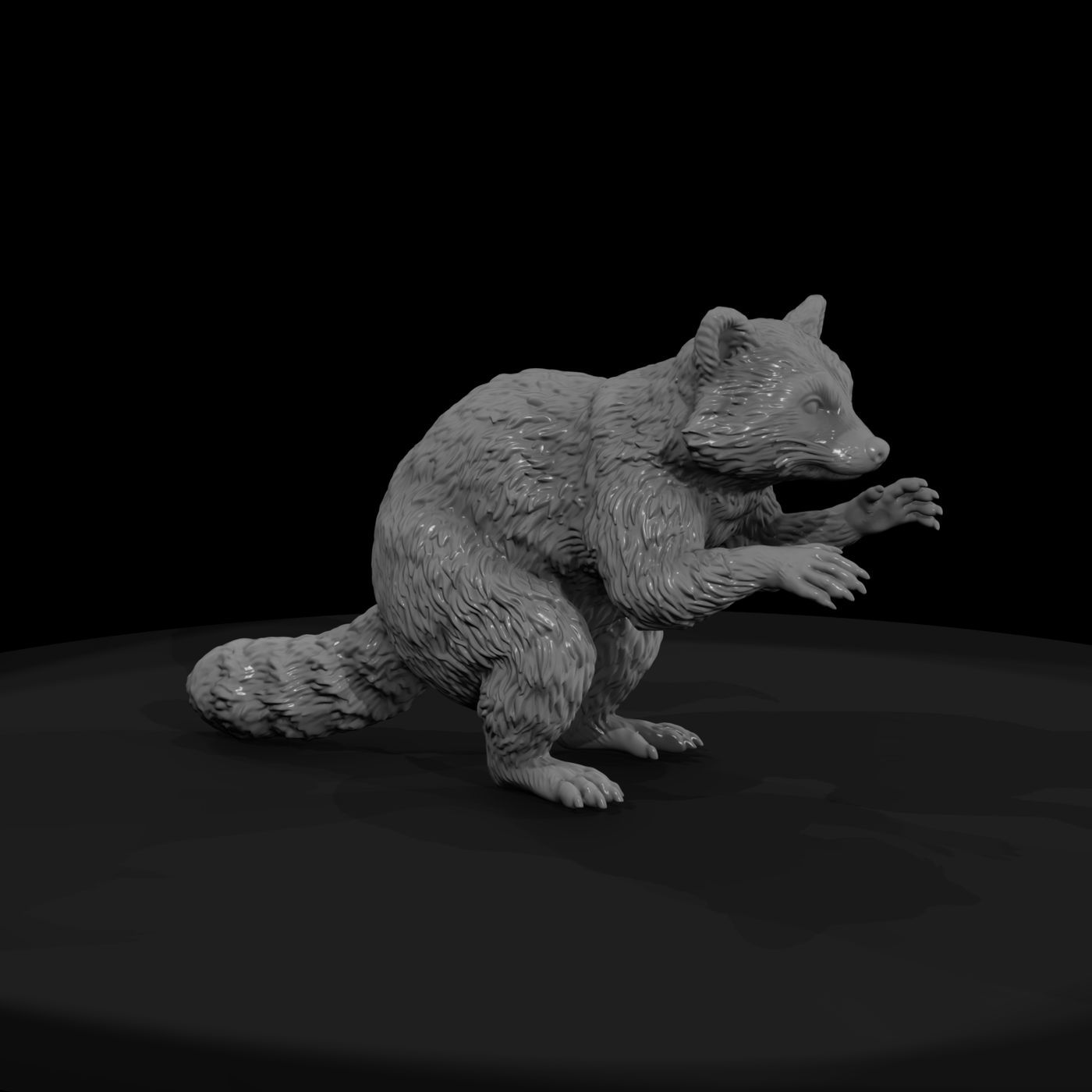 Ww 0329 Animal Raccoon