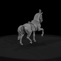 cir-126-animal-prancing-white-horse — thumbnail 2