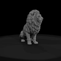 cir-114-animal-sitting-lion — thumbnail 2