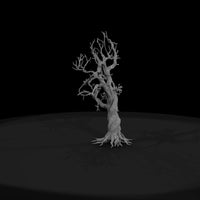 20260612-twisted-dead-tree-74f50aeae0 — thumbnail 2