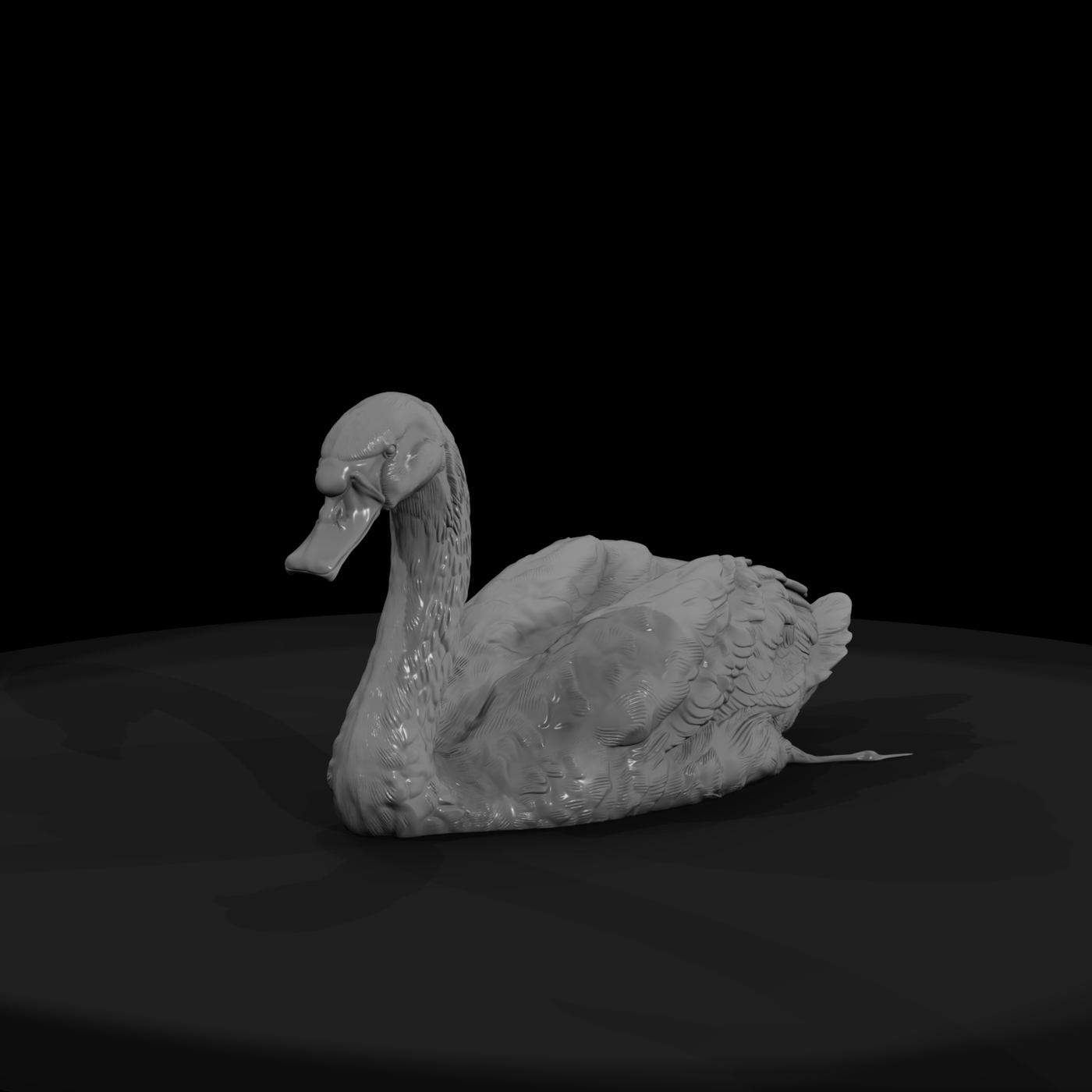 Ant 122 Mute Swan Female