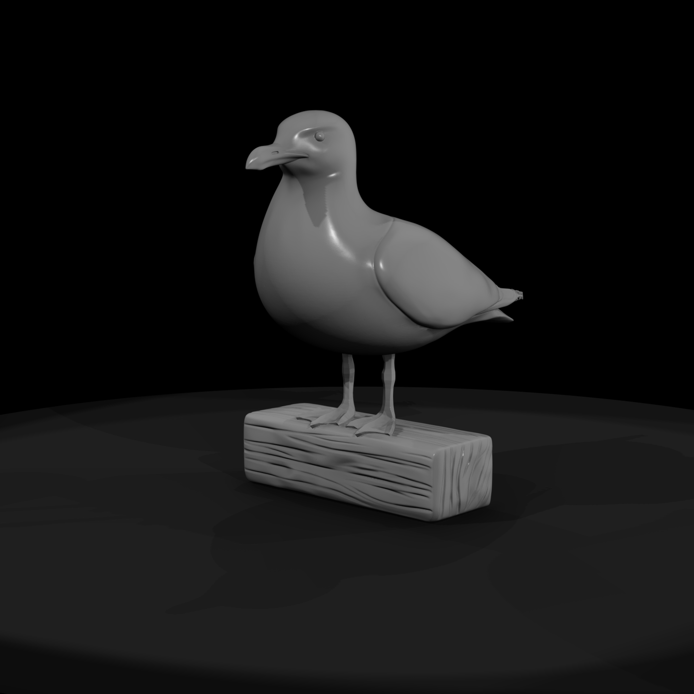 Seagull