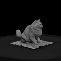 a-collection-of-housecats-fluffy-7cd962ec-meshref — thumbnail 2