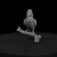 ant-286-toco-toucan-male — thumbnail 2