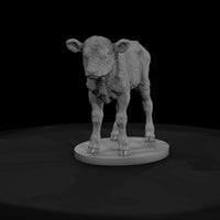 ww-0297-animal-calf — thumbnail 2