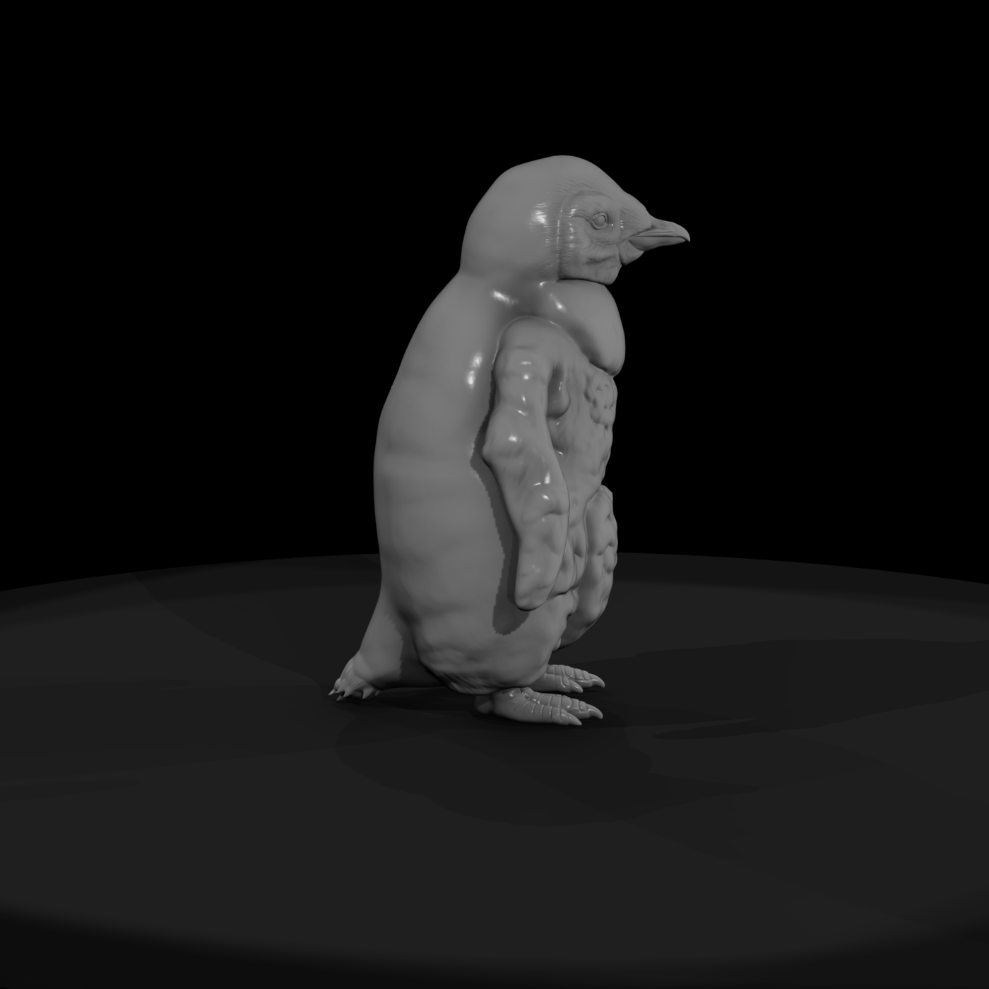 Adolescent King Penguin