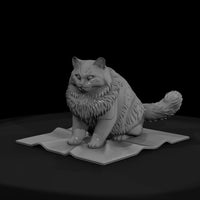 seated-fluffy-persian-cat-miniature-745888 — thumbnail 3