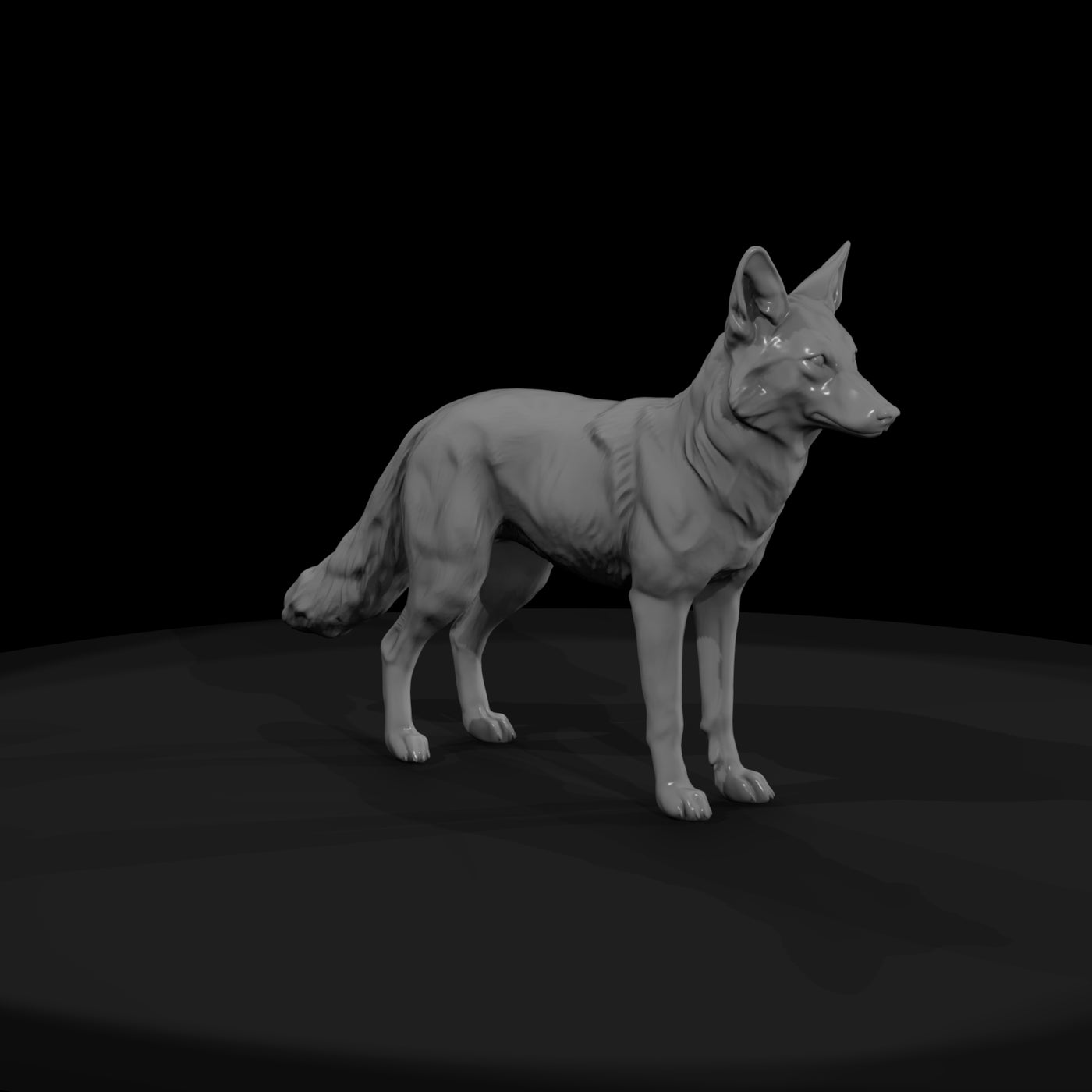 coyote