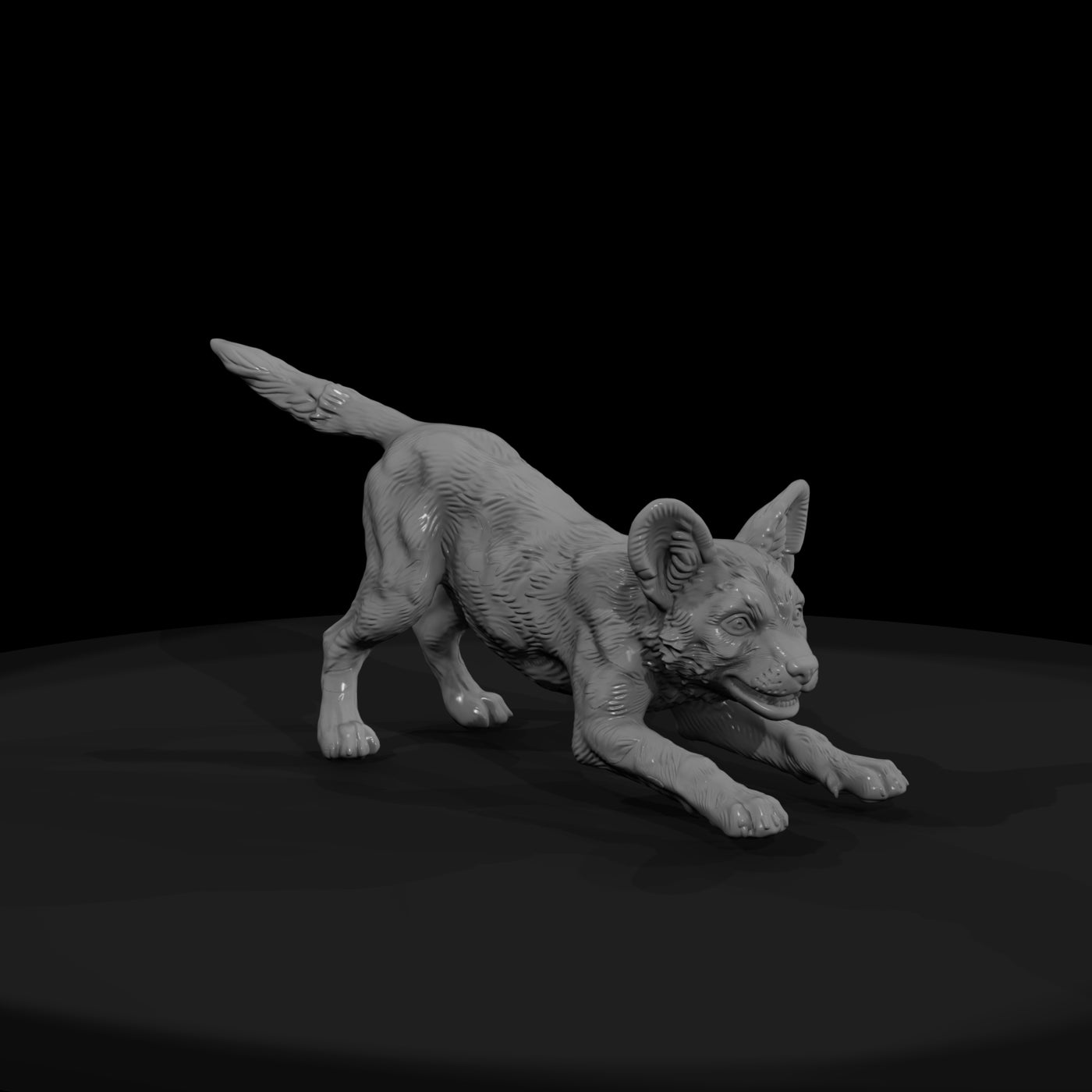 ant-168-african-wild-dog-adolescent