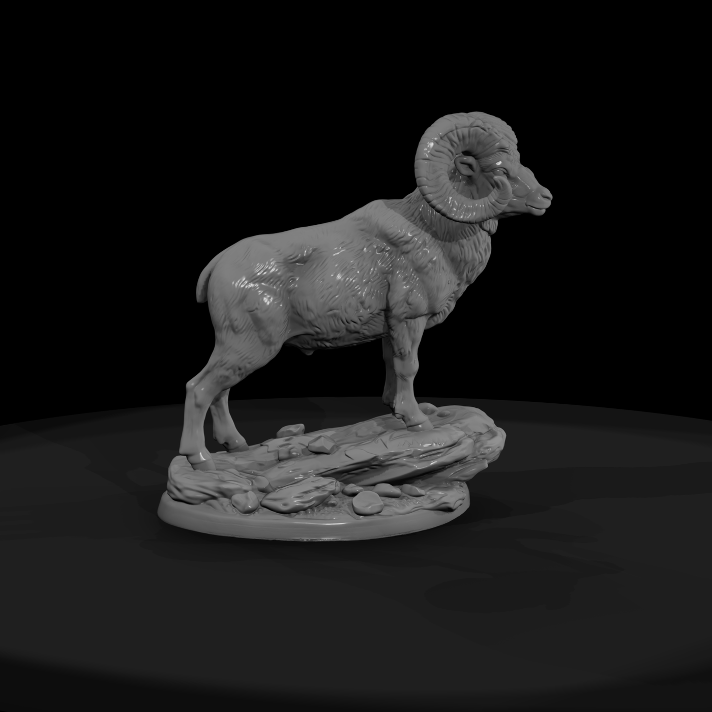 Ww 0317 Animal Desert Bighorn Ram