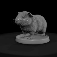 anim-27-guinea-pig-4a4412 — thumbnail 2