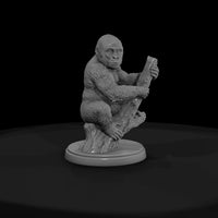 ant-039-western-gorilla-adolescent — thumbnail 2