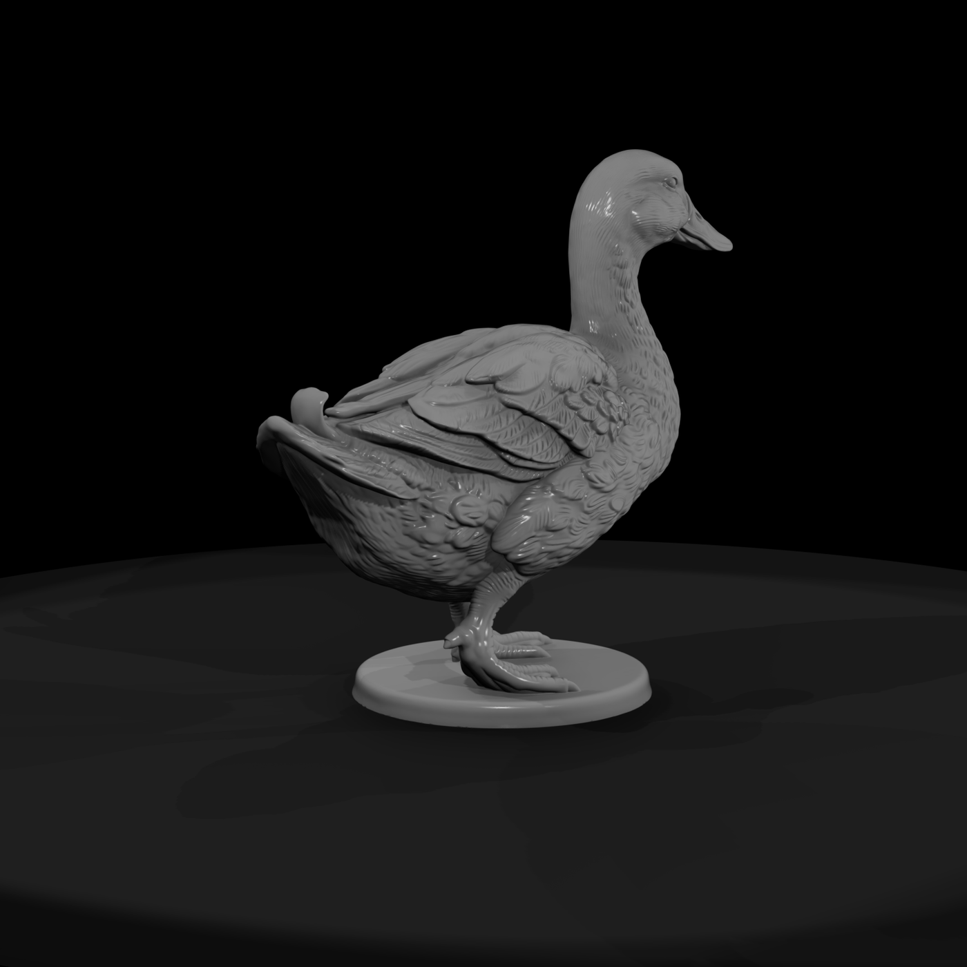 Ww 0310 Animal Duck